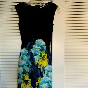 Amazing Colors in Karen Millen Sleeveless Floral Print Dress for All Occasions